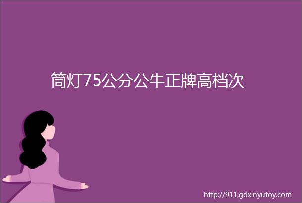 筒灯75公分公牛正牌高档次